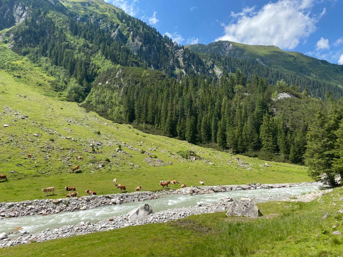 Apartamento Penthaus Kitzebüheler Alpen Neukirchen am Großvenediger Exterior foto